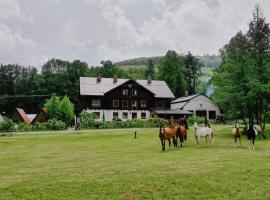 A picture of the hotel: Penzion Račí údolí