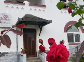 รูปภาพของโรงแรม: Vila Ana Lăcrămioara Concept