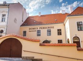 Хотел снимка: Domus Peregrini Apartmanok