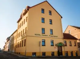 Hotel Pension Treppengasse Nr. 5, hotel sa Altenburg
