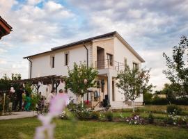 Pensiunea Diana, hôtel à Stroe Beloescu