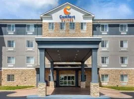 Comfort Suites，位于克拉克斯维尔的酒店