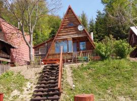 A picture of the hotel: Noclegi Domki NIEDŹWIEDZIA GÓRKA