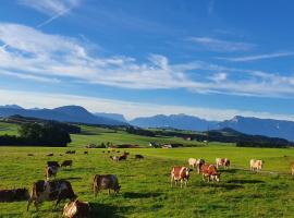 Hotel kuvat: Idyllische Designer-Apartments am Bio-Bauernhof in SalzburgerSeenland Schmiding 10