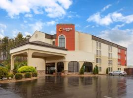Gambaran Hotel: Comfort Inn North of Asheville
