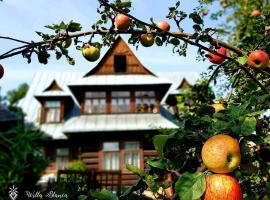 Hotelfotos: Willa Blanca Zakopane