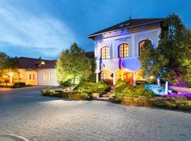 Bodrogi Kúria Wellness Hotel, ξενοδοχείο σε Inarcs