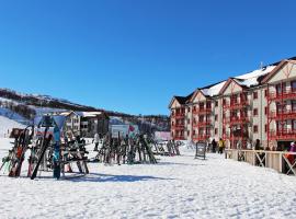 호텔 사진: Ski Lodge Tänndalen