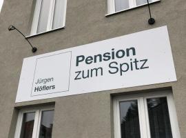 Хотел снимка: Pension zum Spitz