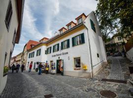 Smile Apartments zum Goldenen Strauß, hotell sihtkohas Dürnstein