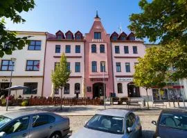 Hotel U Labutě