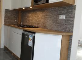 Hotel Photo: Apartament TRAFO