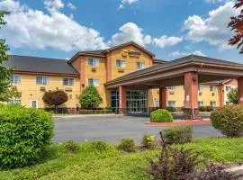 Comfort Suites Salem, hotel in Salem