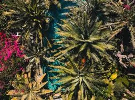 Flamingo Hotel & Spa - Pet Friendly