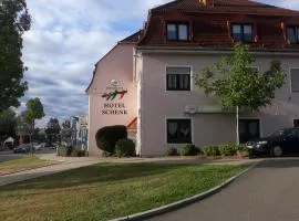 Hotel Schenk, hotel in Pirmasens