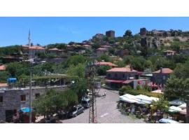 A picture of the hotel: taş palace