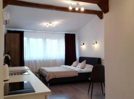 Hotel Photo: Cara Studio cu parcare - Cluj-Napoca zona Republicii