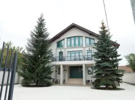 Green Villa Sibiu