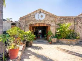 Collection O Hotel Monte Agave