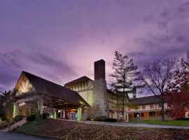 Holiday Inn At Six Flags Saint Louis by IHG