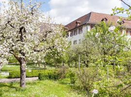 Hotel Photo: Kloster Dornach / Basel