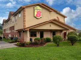 Super 8 by Wyndham Abingdon VA, Hotel in Abingdon