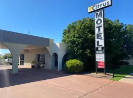 Citrus Motel, hotel em Griffith