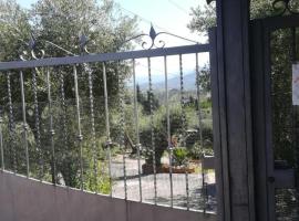 Zdjęcie hotelu: La casa tra gli ulivi di Fonte Nuova 1