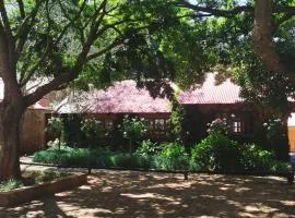 Critchley Hackle Dullstroom Leisure
