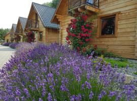 Domki Polanica, ξενοδοχείο σε Polanica-Zdrój