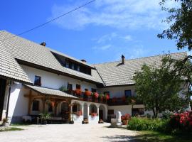 A picture of the hotel: Apartments Sušnik