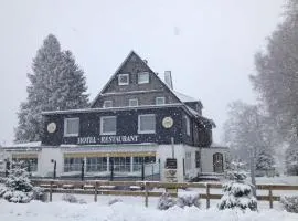 Hotel Herrloh, hotell sihtkohas Winterberg