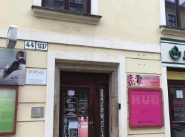 酒店照片: CityHUB Jihlava