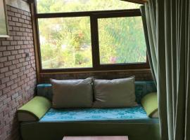 маленькое шале в с.Строенцы, hotel v destinaci Stroieşti