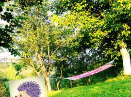 होटल की एक तस्वीर: Lavander Garden Camping