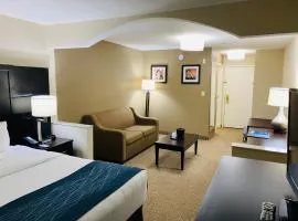 Comfort Inn & Suites Atlanta-Smyrna