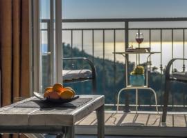 Izabela apartment with swimming pool, hotel v destinaci Babino Polje