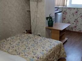 Hotel fotoğraf: Уютная студия на Пушкина,13