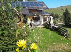 Hotel fotoğraf: Sommeralmhütte