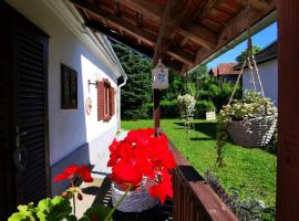 Őrség Kincse Kis Apartman - 4 főre, Hotel in Hegyhátszentjakab