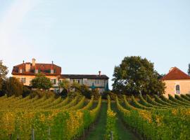 Hotel foto: Domaine de Châteauvieux