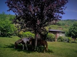 Hotel fotografie: la Frégière Chalets