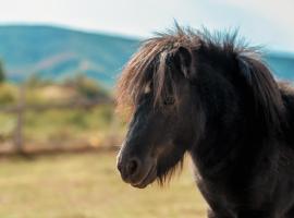 Fotos de Hotel: Tišina Cera