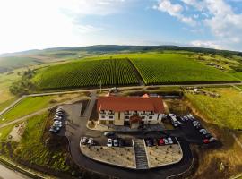 Fotos de Hotel: Pensiunea Kemsilvanum Fort Silvan