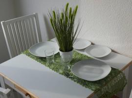 Gambaran Hotel: City-Apartment Close to Mannheim, central