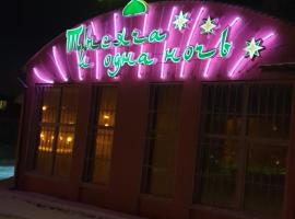 Hotel Photo: 1001 ночь HOSTEL