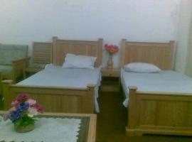 A picture of the hotel: MEHRAN GUEST HOUSE