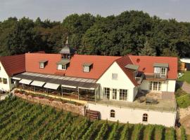 A picture of the hotel: Pension Bella Vista - Winzerhof Golk