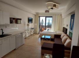 Фотография гостиницы: Štrbské Pleso - rezidencia ARMERIA apt 30