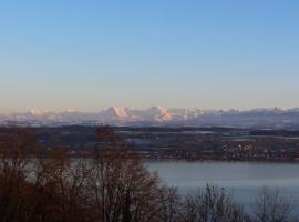 Фотография гостиницы: Le Mont-Vully - Hôtel Restaurant